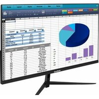 ExeGate SuperView EH2407 EX298353RUS