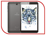 Irbis TZ862 фото