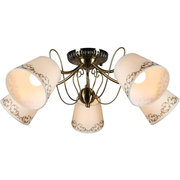 Omnilux OML-55107-05 фото