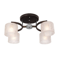 Silver light 253.59.4