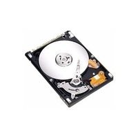 Seagate Momentus 4200.2 ST980829A 80 GB