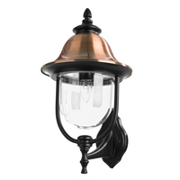 Arte Lamp A1481AL-1BK
