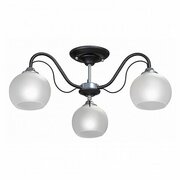 Vitaluce V3948-1/3PL фото